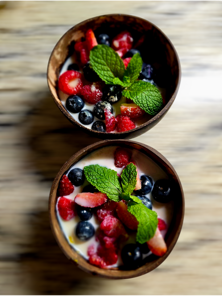 Set of 3 Recycled Coconut Shell Bowls