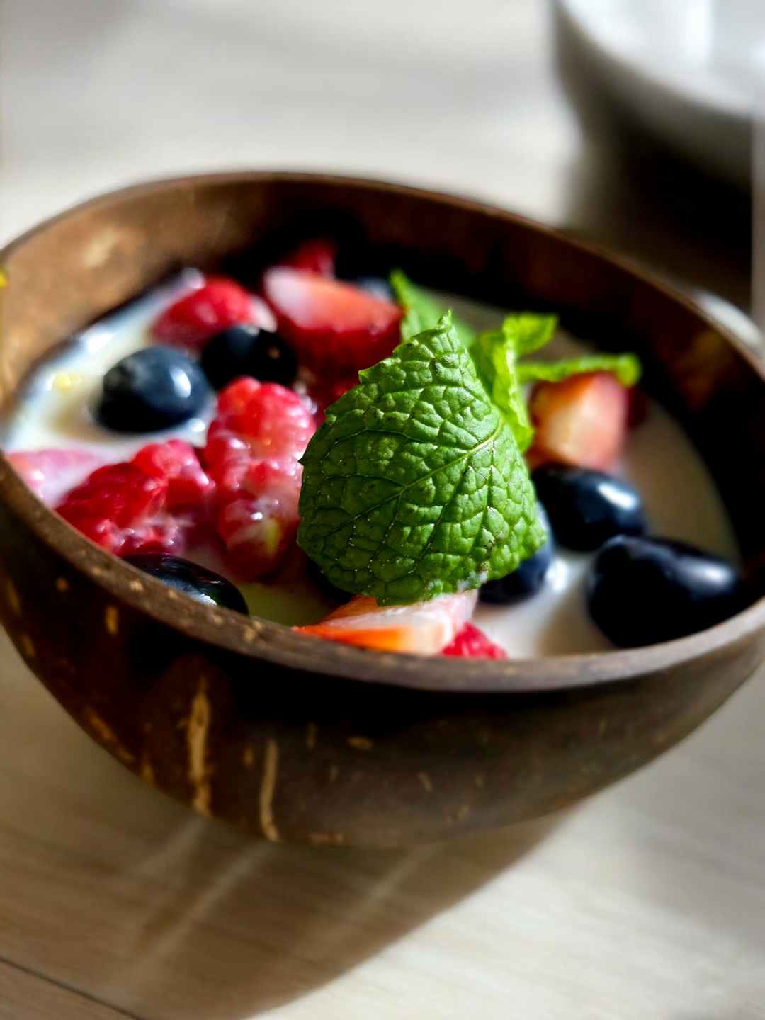 Recycled Coconut Shell Bowls