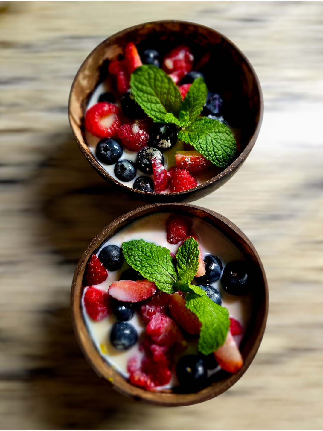 Recycled Coconut Shell Bowls